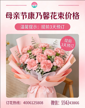 中山三角镇花店母亲节康乃馨花束