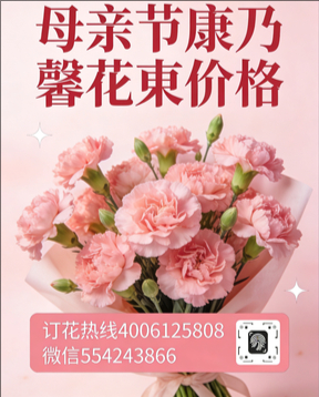 中山三角镇花店母亲节康乃馨花束